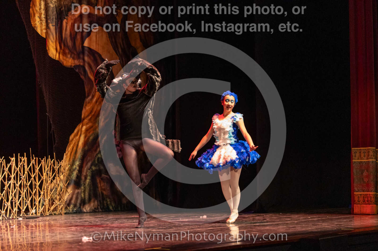 20260304153013-R3-639559