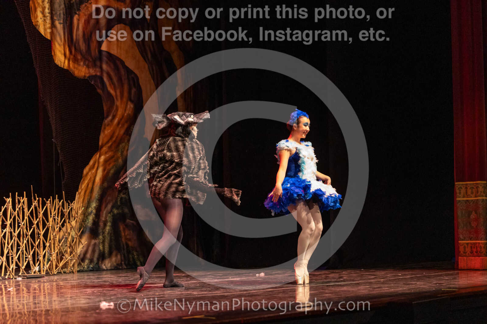 20260304153014-R3-639560