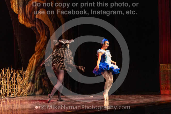 20260304153014-R3-639560