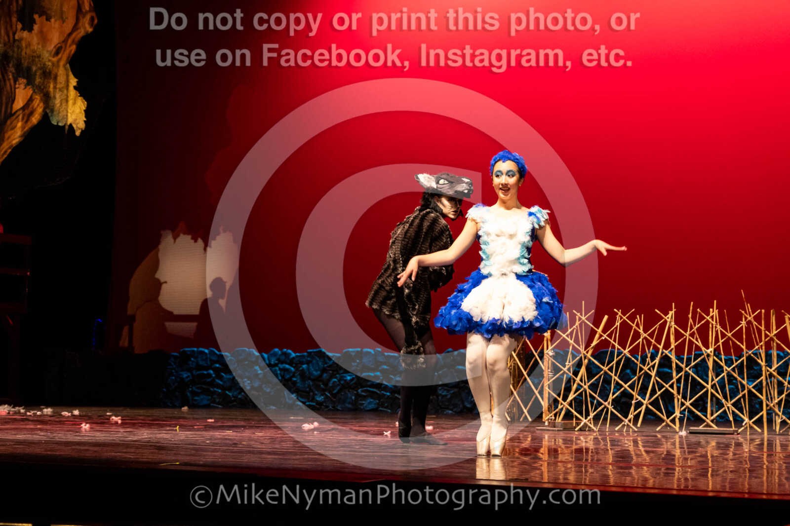 20260304153015-R62-100628