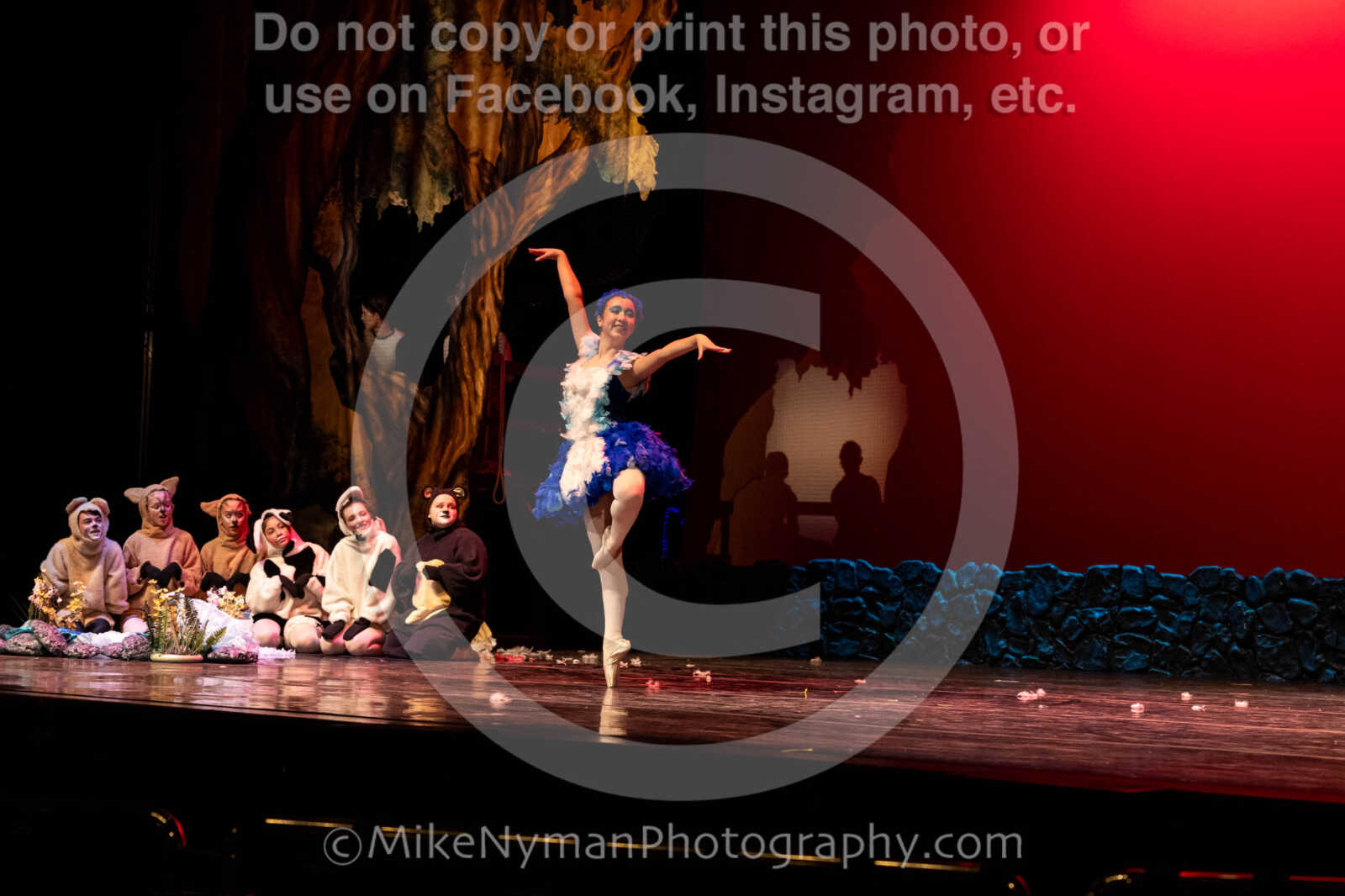 20260304153021-R62-100631