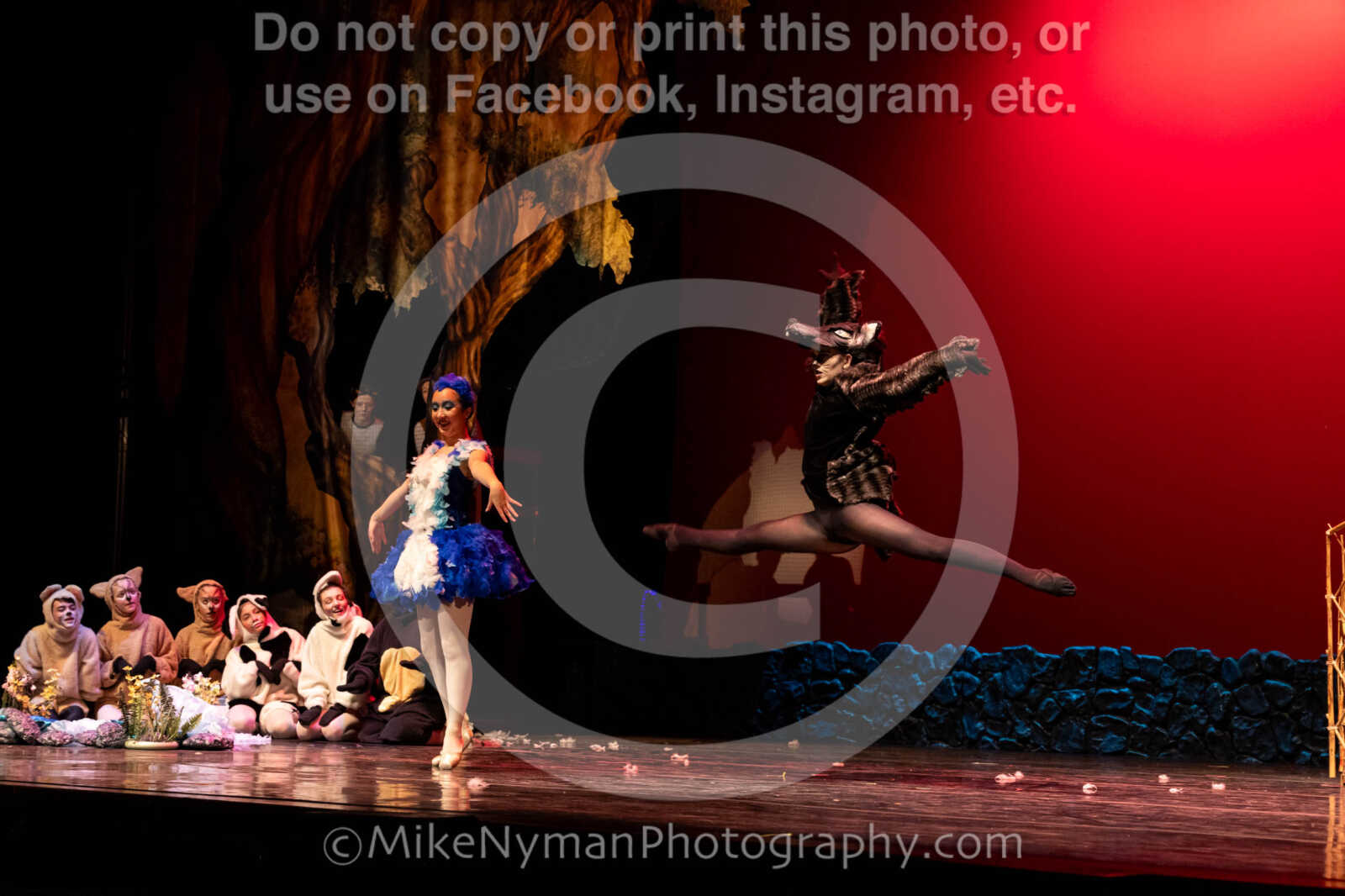 20260304153022-R62-100632