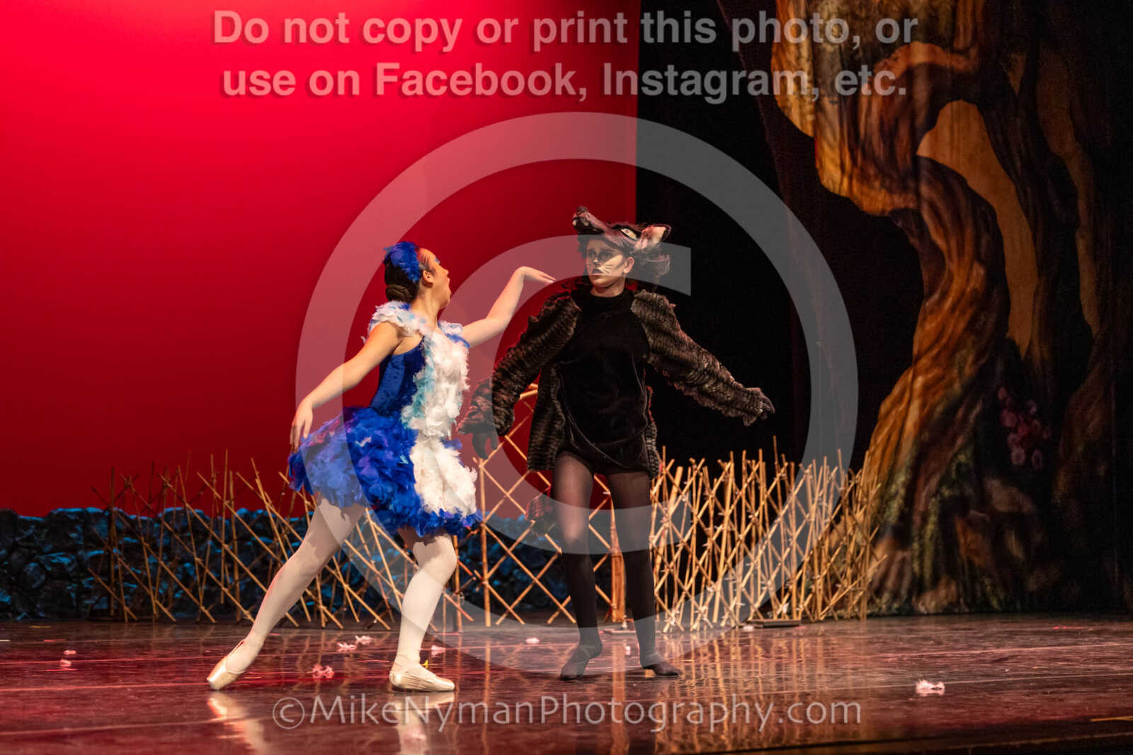 20260304153026-R3-639568