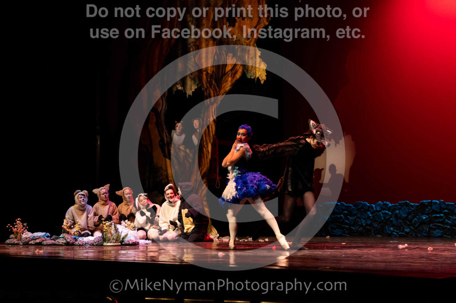 20260304153028-R62-100633