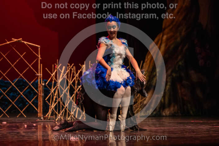 20260304153037-R3-639570