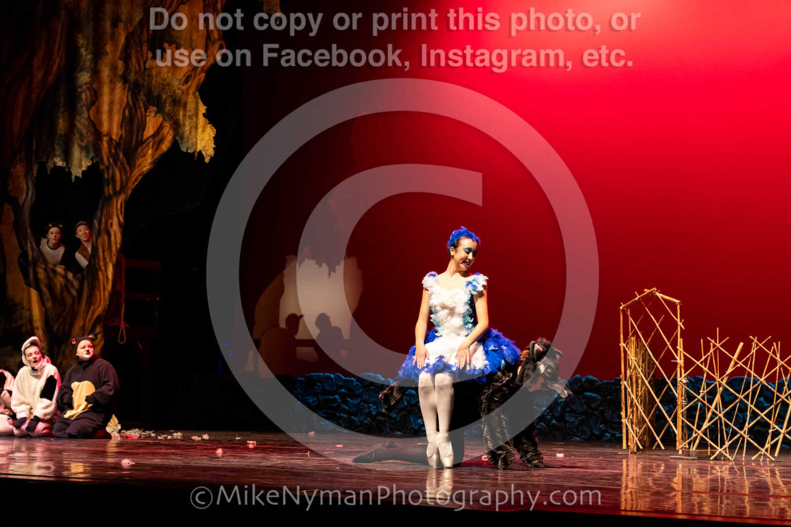 20260304153039-R62-100634