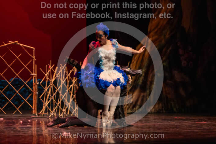 20260304153041-R3-639574