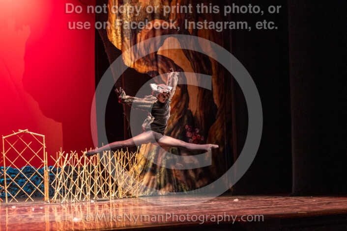 20260304153057-R3-639585