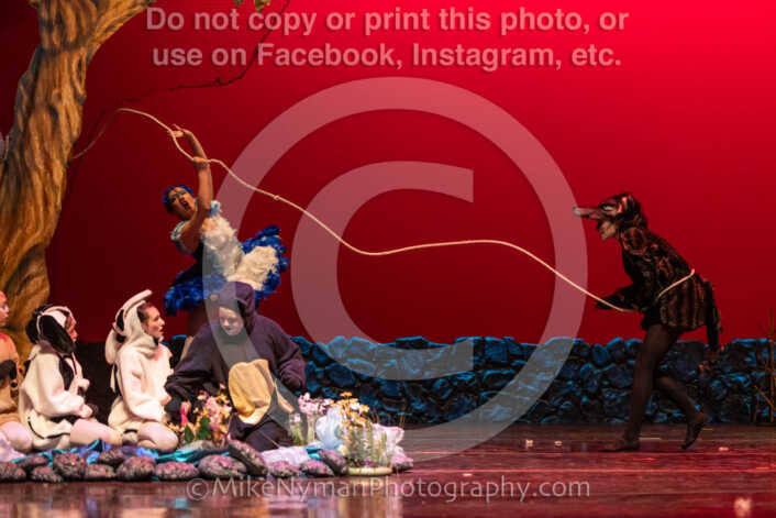 20260304153115-R3-639588