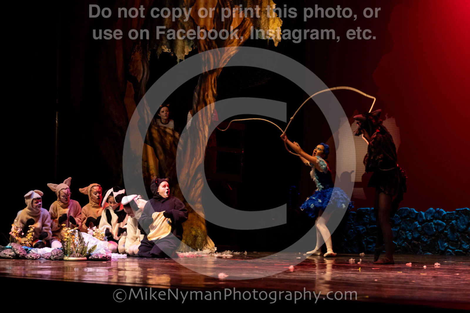 20260304153119-R62-100640