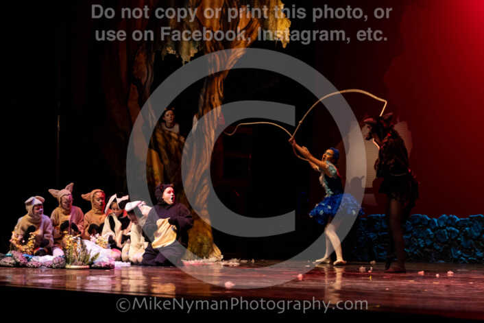 20260304153119-R62-100640