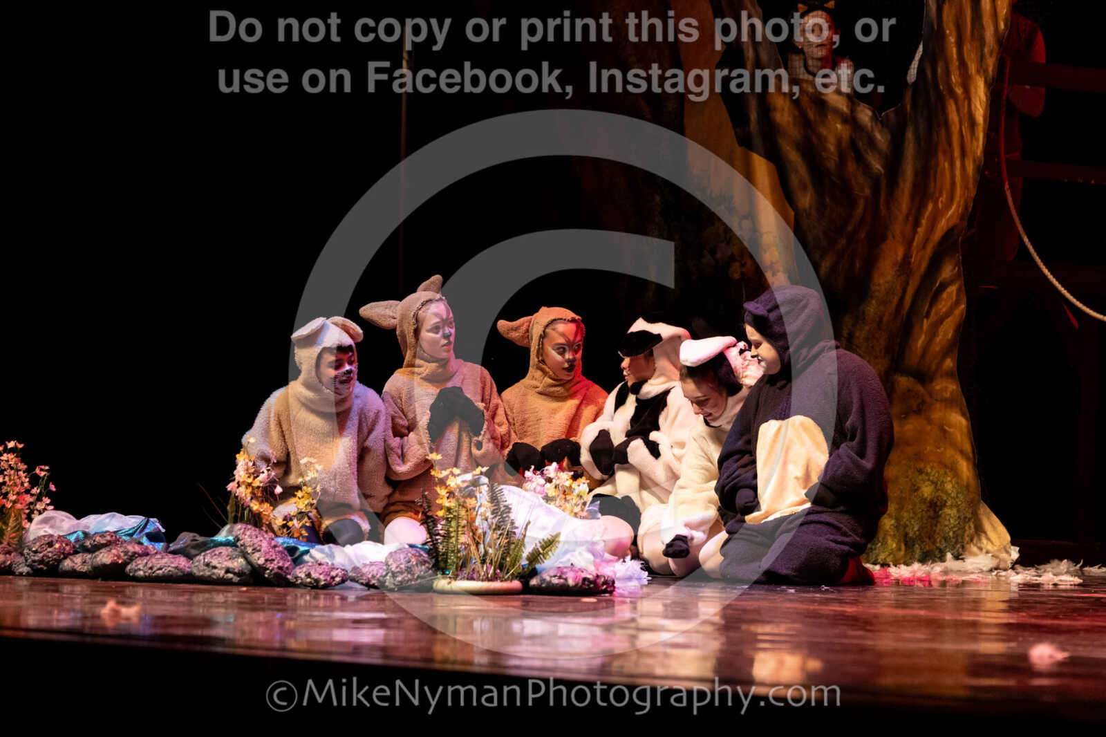 20260304153127-R62-100641