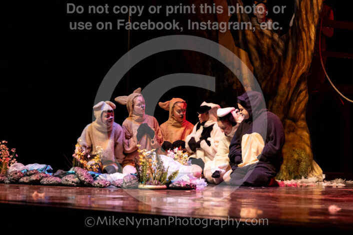 20260304153127-R62-100641