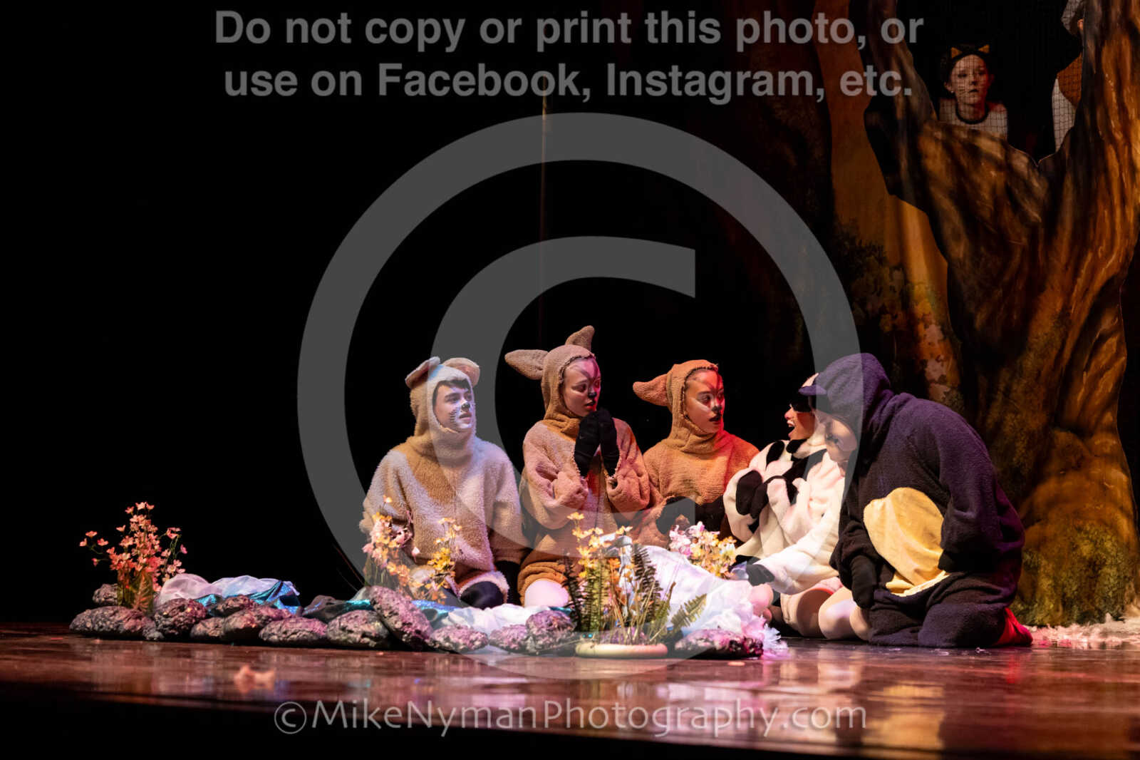 20260304153128-R62-100642