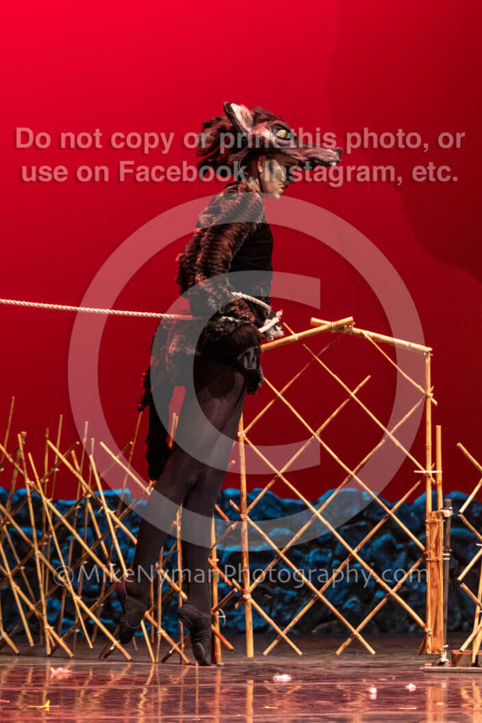 20260304153131-R3-639594