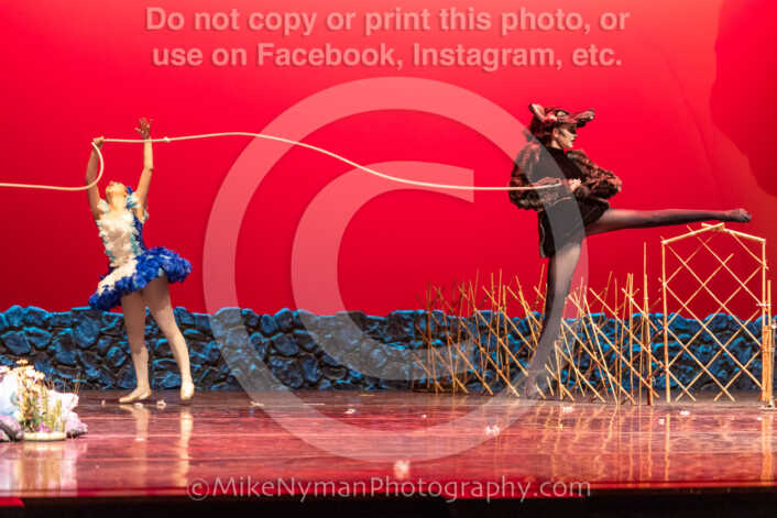 20260304153214-R3-639606