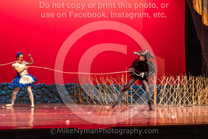 20260304153215-R3-639607