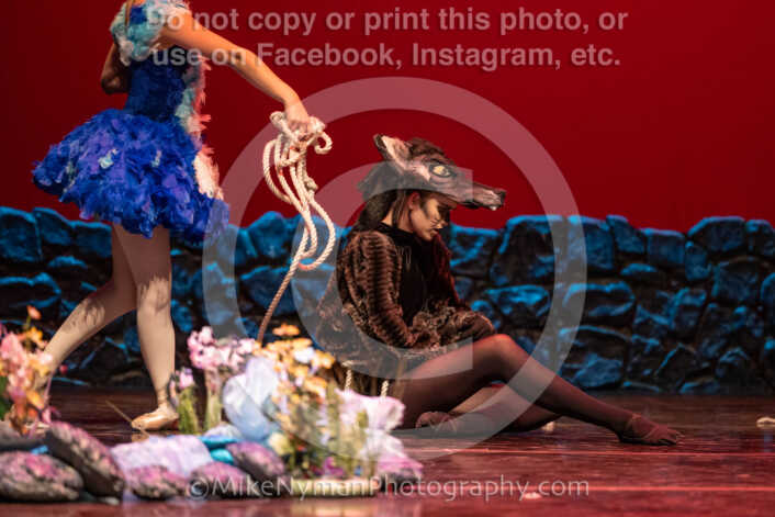 20260304153228-R3-639615