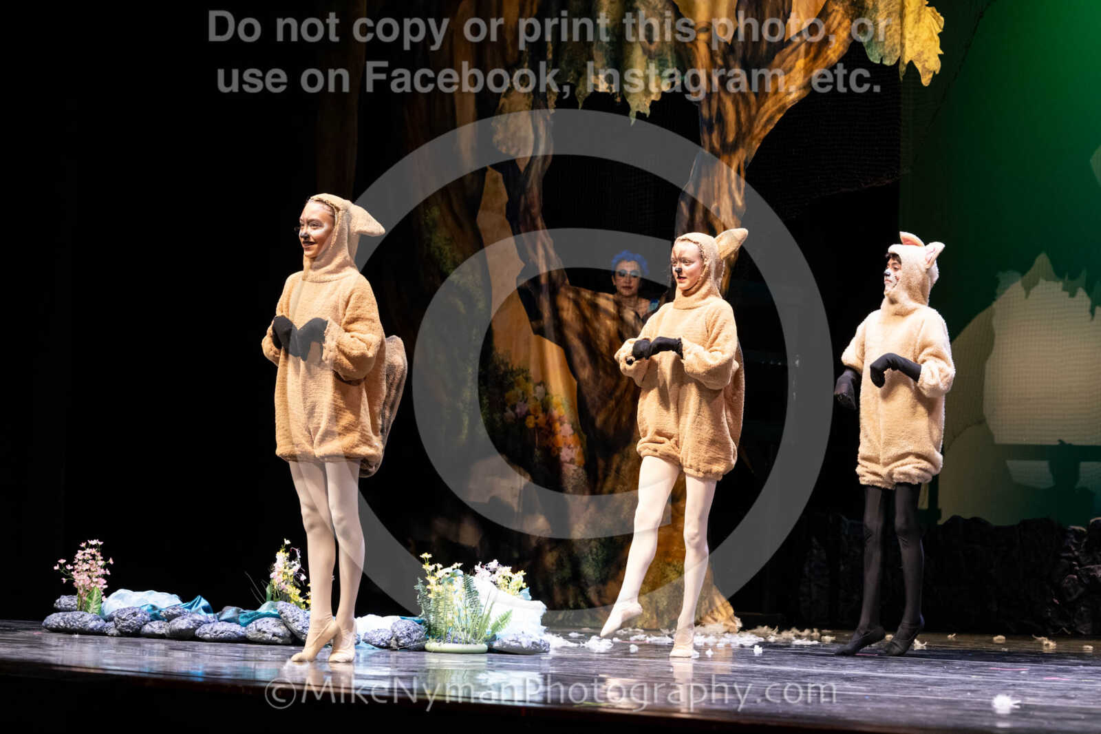 20260304153508-R62-100689