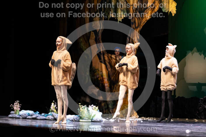 20260304153508-R62-100689