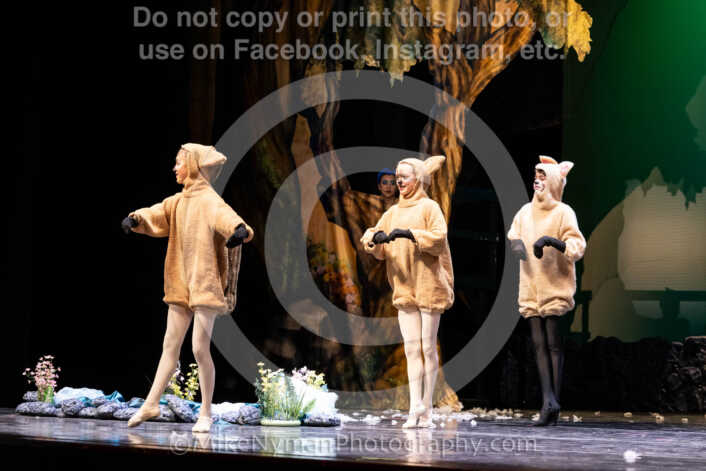 20260304153512-R62-100692