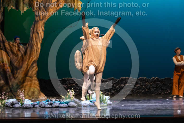 20260304153513-R3-639692