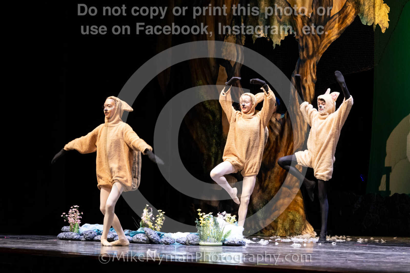 20260304153514-R62-100693