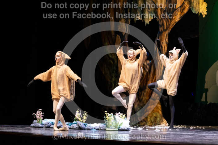 20260304153514-R62-100693