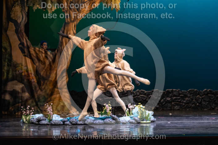 20260304153515-R3-639693