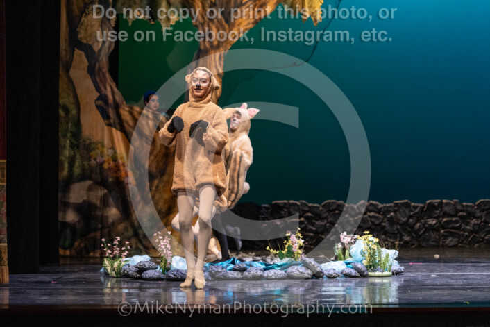 20260304153516-R3-639694