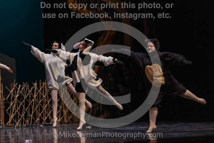 20260304153518-R3-639696