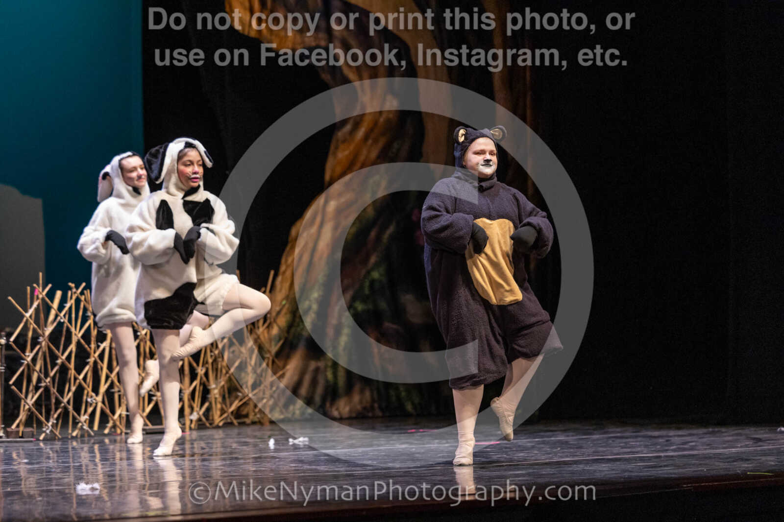 20260304153520-R3-639698