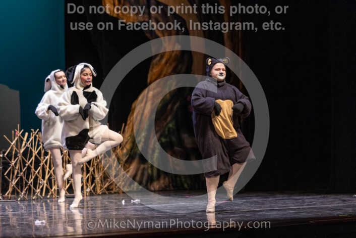 20260304153520-R3-639698