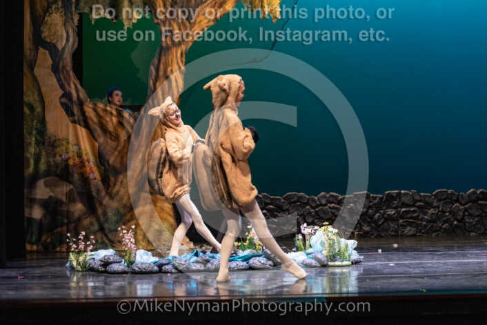 20260304153524-R3-639701