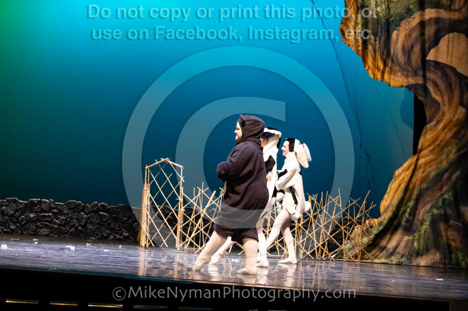 20260304153524-R62-100694