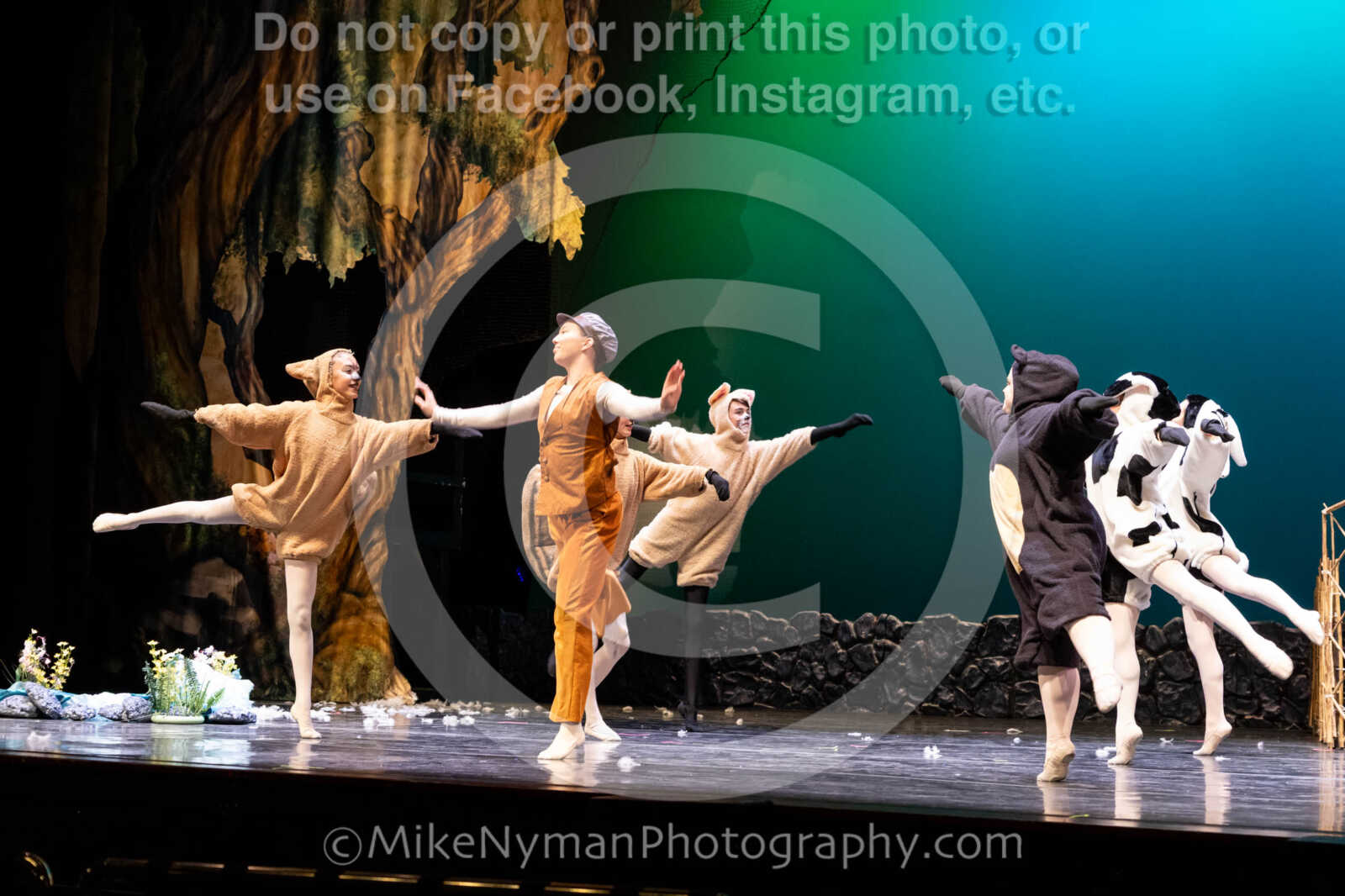 20260304153529-R62-100696