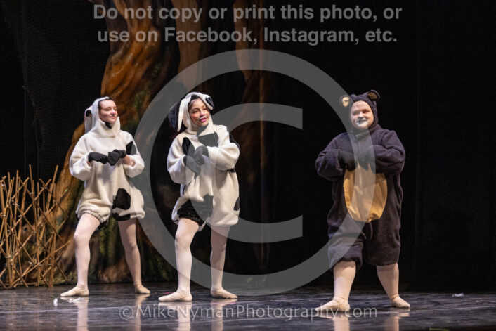 20260304153533-R3-639706