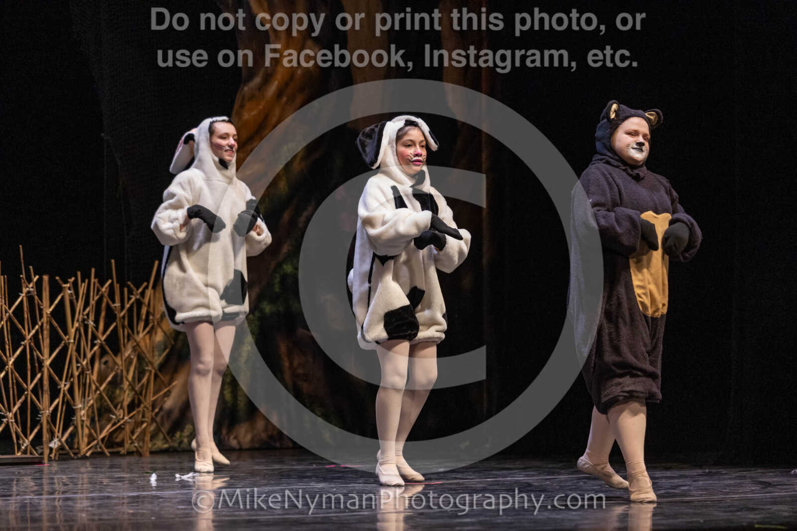 20260304153535-R3-639708