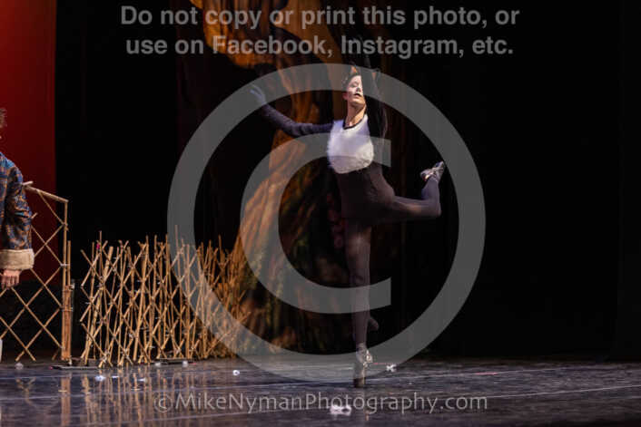 20260304153655-R3-639749