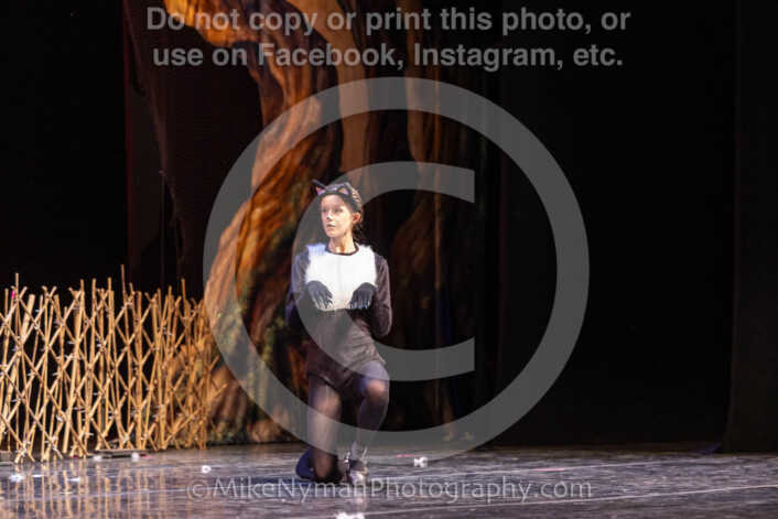 20260304153710-R3-639759