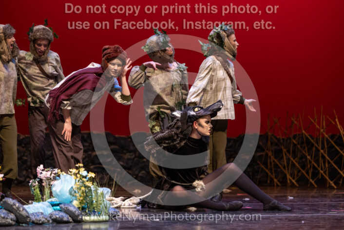 20260304153817-R3-639794