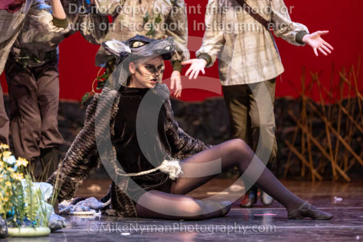 20260304153820-R3-639796