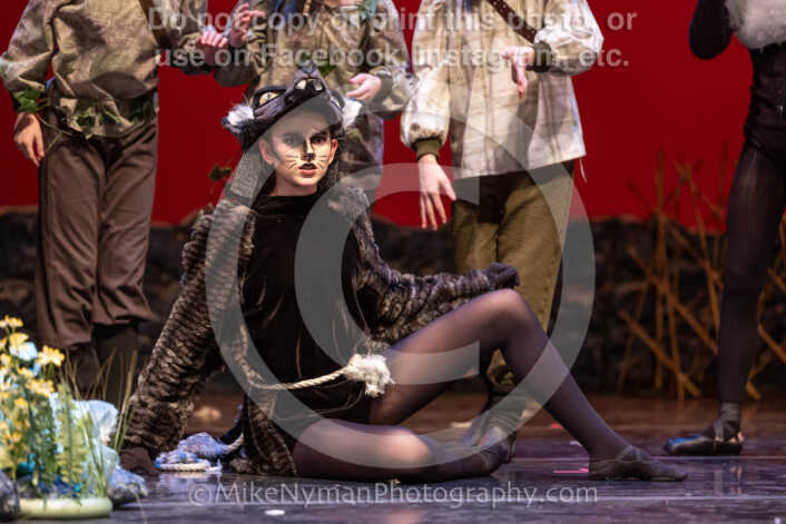 20260304153820-R3-639797