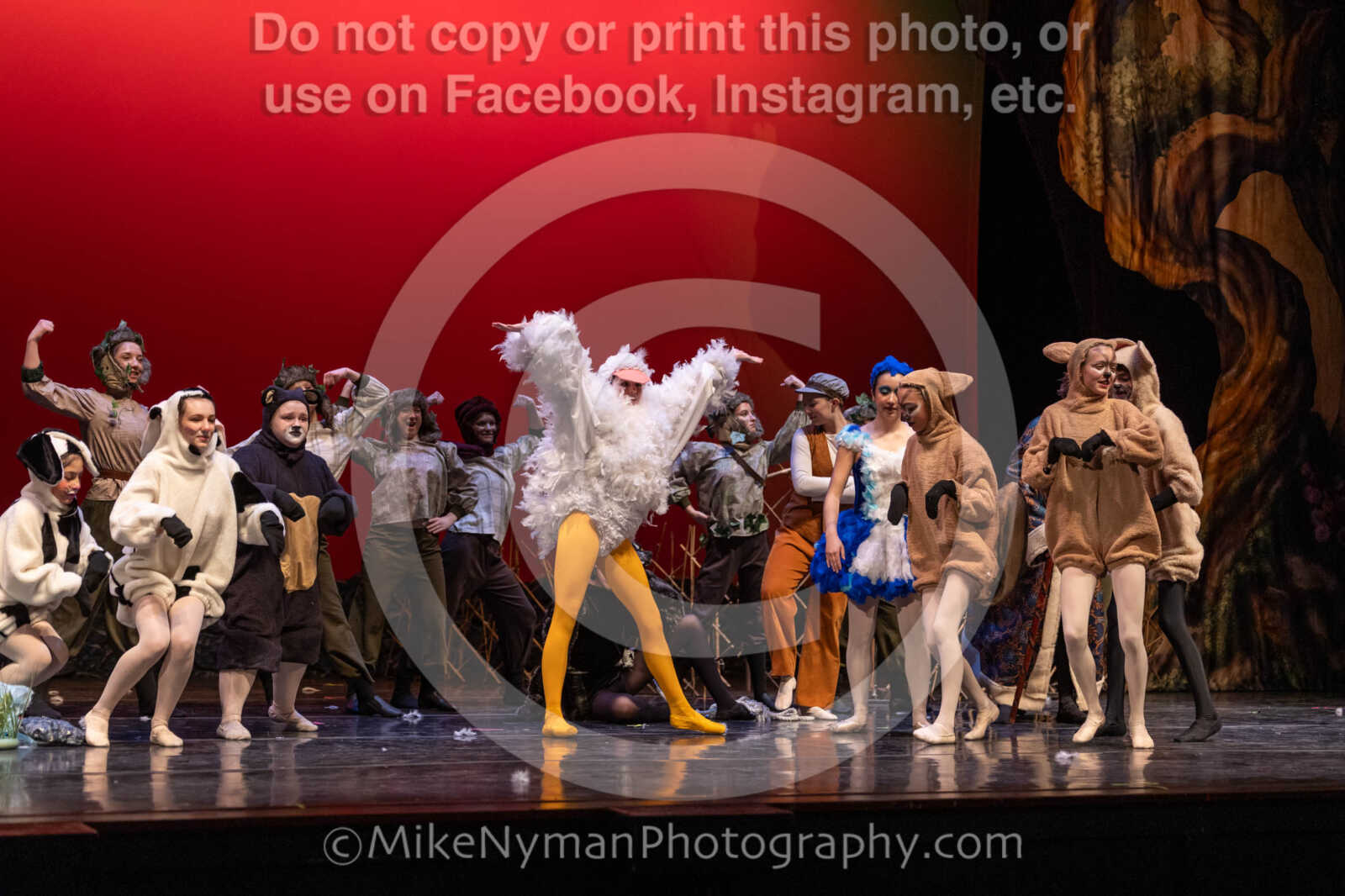 20260304153852-R3-639810