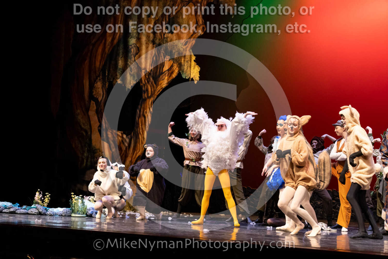 20260304153853-R62-100725