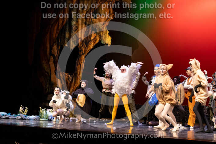 20260304153853-R62-100725