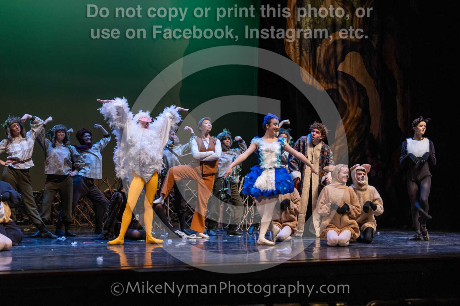 20260304153854-R3-639812