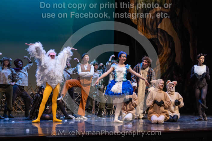 20260304153855-R3-639813