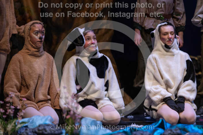 20260304153924-R3-639815