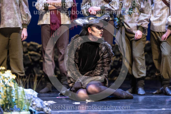 20260304153949-R3-639823